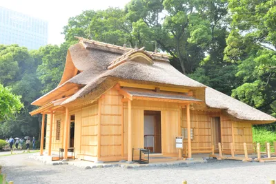 DSC_3392 (Large).JPG